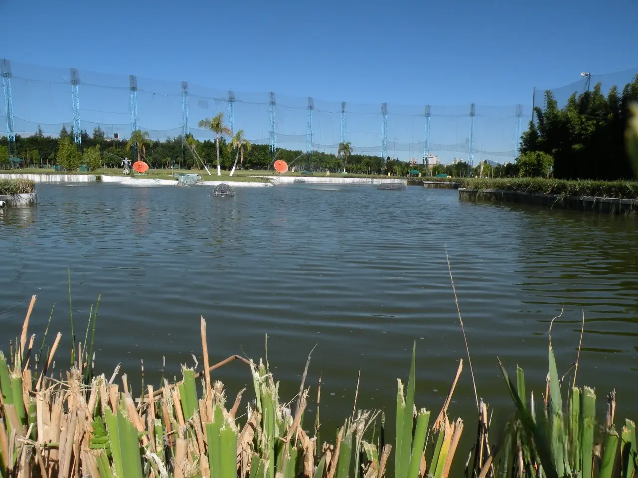Acuicultura en The Lake