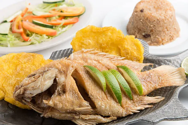 Tilapia Preparada